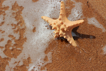 Similar image 11502410