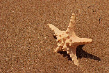 Similar image 11497022