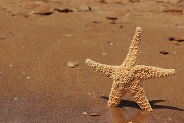 Similar image 11497043