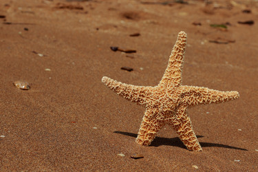 Similar image 11497045