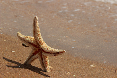 Similar image 11497046