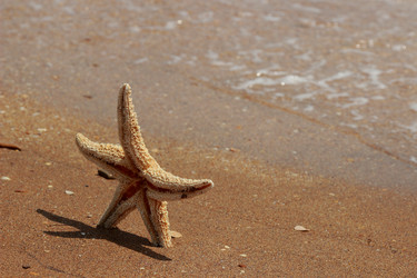 Similar image 11497084