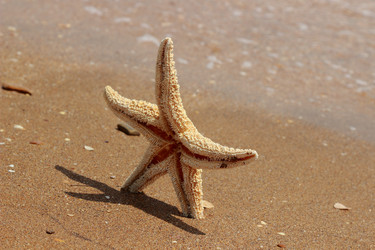 Similar image 11497085