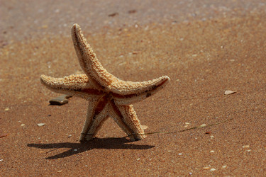 Similar image 11497086