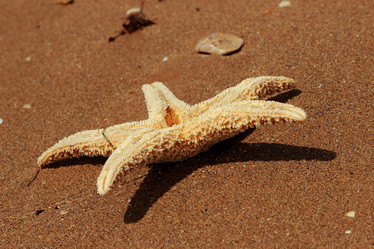 Similar image 11497204