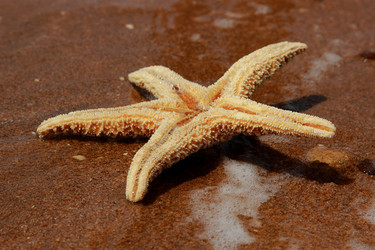 Similar image 11497205