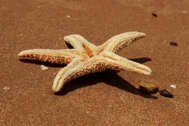 Similar image 11497225