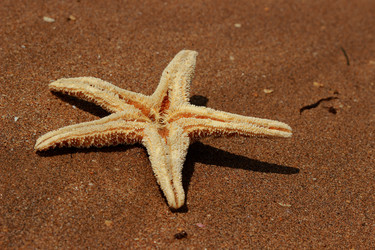 Similar image 11497226