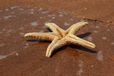 Similar image 11497103