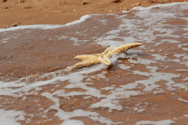 Similar image 11497104