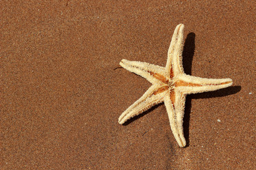 Similar image 11497106