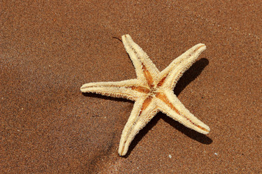 Similar image 11497246