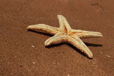 Similar image 11497127