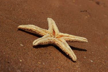 Similar image 11497144