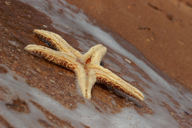 Similar image 11497145