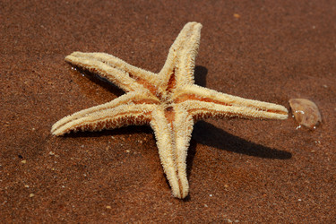 Similar image 11497146