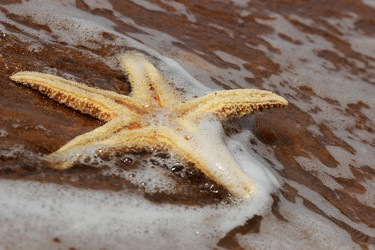 Similar image 11497163