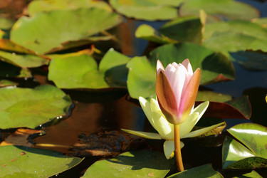 Similar image 11502500