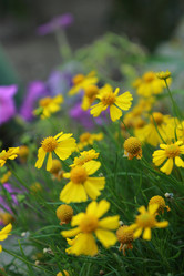 Similar image 11497024