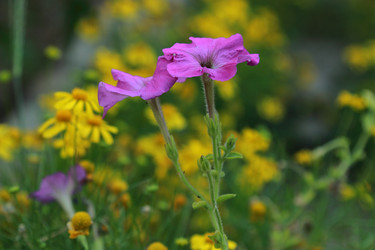 Similar image 11497025