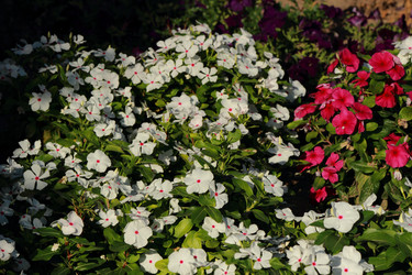 Similar image 11509222