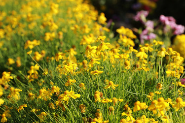 Similar image 11497206