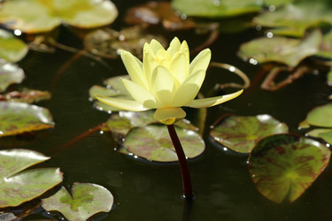 Similar image 11497957