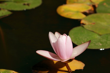 Similar image 11498096