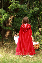 Similar image 11501520