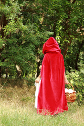 Similar image 11501645