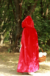 Similar image 11501662