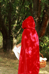 Similar image 11501663