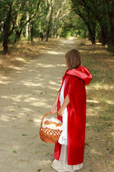 Similar image 11501699