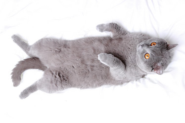 Similar image 11497625