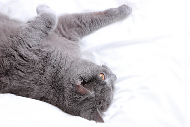 Similar image 11497627