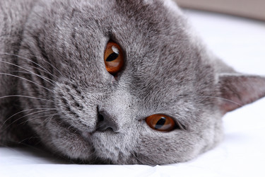 Similar image 11497648