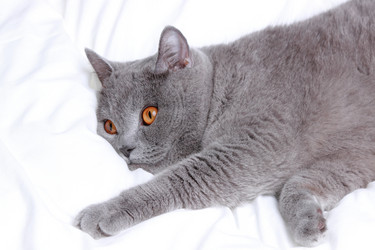 Similar image 11497649