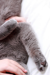 Similar image 11497650