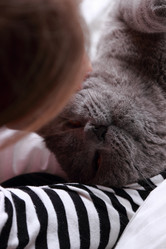 Similar image 11497669