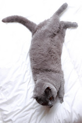 Similar image 11497671