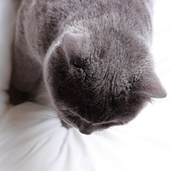 Similar image 11497689