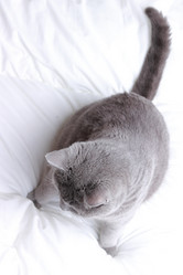 Similar image 11497806