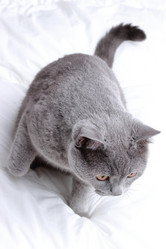 Similar image 11497807