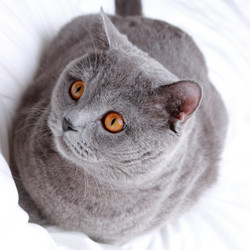 Similar image 11497730