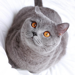 Similar image 11497785