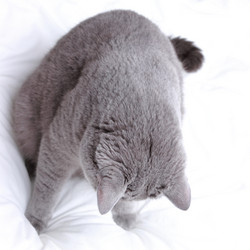 Similar image 11497786