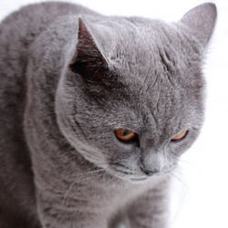 Similar image 11497787