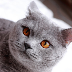 Similar image 11497788