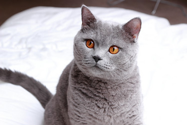 Similar image 11497749