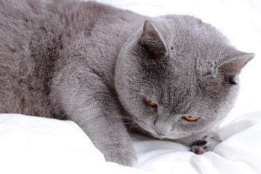 Similar image 11497751